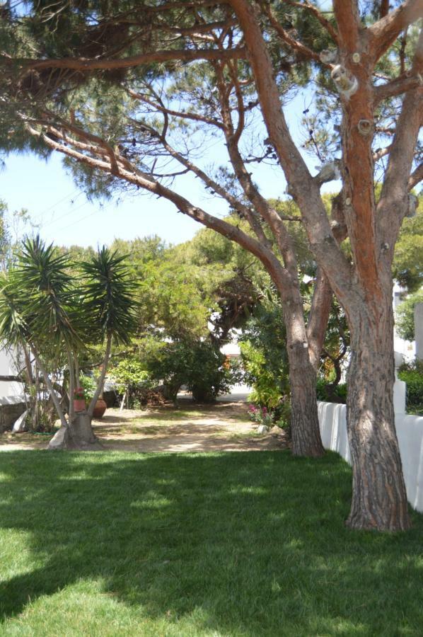 Secret Garden Apartments Mykonos Town Esterno foto