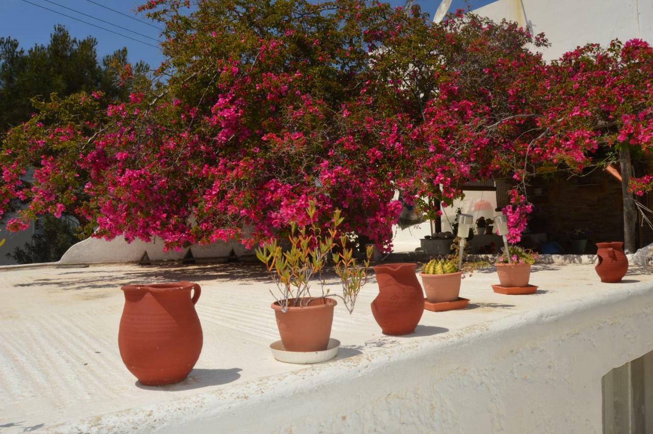Secret Garden Apartments Mykonos Town Esterno foto